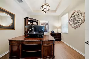 24115 San Giovanni Dr, Land O Lakes, FL 34639 - Photo 6