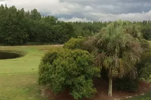 10515 Coral Key Ave, Tampa, FL 33647 - Photo 22