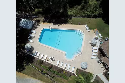 2954 Curling Court, Palm Harbor, FL 34684 - Photo 38