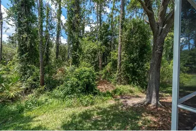3312 Chapel Creek Circle, Wesley Chapel, FL 33544 - Photo 36
