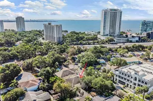 3007 W Palmira Ave, Tampa, FL 33629 - Photo 4