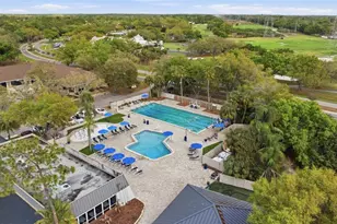 5163 Pinnacle Dr, Oldsmar, FL 34677 - Photo 52