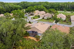 5163 Pinnacle Dr, Oldsmar, FL 34677 - Photo 44