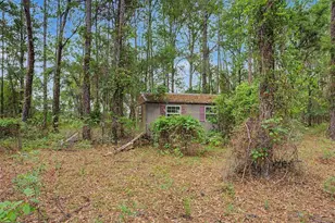 17926 SE 49 Pl, Hawthorne, FL 32640 - Photo 100