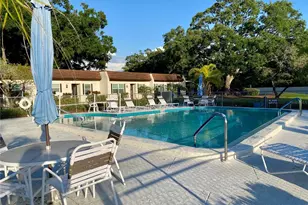 3157 Mission Grove Dr, Palm Harbor, FL 34684 - Photo 38