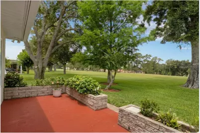 1166 Gillespie Drive, Palm Harbor, FL 34684 - Photo 38