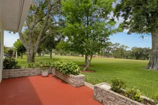 1166 Gillespie Dr, Palm Harbor, FL 34684 - Photo 38