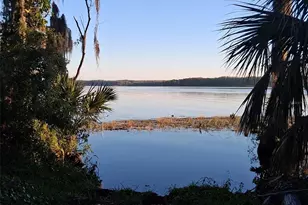 1166 Gillespie Dr, Palm Harbor, FL 34684 - Photo 66