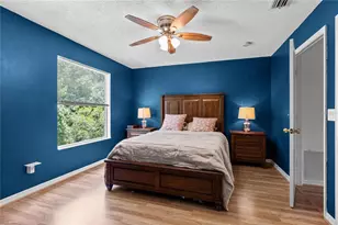 4229 Winding River Way, Land O Lakes, FL 34639 - Photo 34