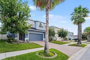 11609 Fringetree Ct, Riverview, FL 33579 - Photo 2