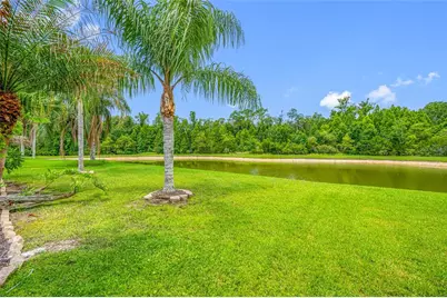 25147 Geddy Drive, Land O Lakes, FL 34639 - Photo 72