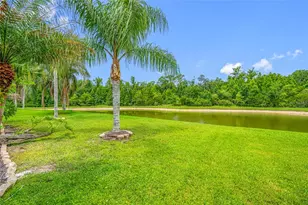 25147 Geddy Dr, Land O Lakes, FL 34639 - Photo 72