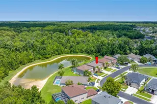 25147 Geddy Dr, Land O Lakes, FL 34639 - Photo 82
