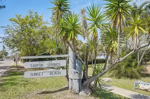 800 Chesapeake Dr, Tarpon Springs, FL 34689 - Photo 44