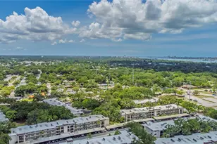 300 Clyde Ln, Dunedin, FL 34698 - Photo 54