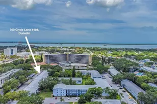 300 Clyde Ln, Dunedin, FL 34698 - Photo 24