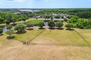 3318 Clover Blossom Cir, Land O Lakes, FL 34638 - Photo 40