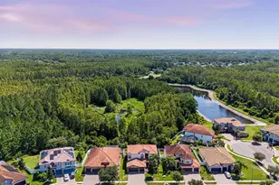 3842 Wellingborough Ct, Land O Lakes, FL 34638 - Photo 62
