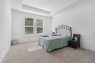 18542 Serene Lake Loop, Lutz, FL 33548 - Photo 42