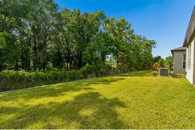 18542 Serene Lake Loop, Lutz, FL 33548 - Photo 54