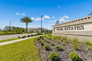 18542 Serene Lake Loop, Lutz, FL 33548 - Photo 58