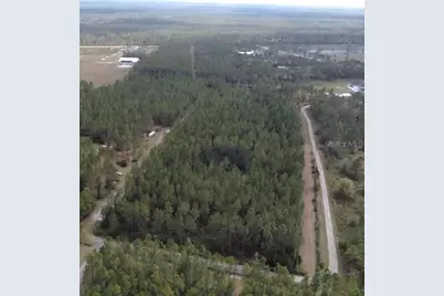 859 Wild Cur Road, Pierson, FL 32180 - Photo 20