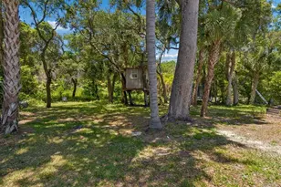 2402 Huntington Blvd, Safety Harbor, FL 34695 - Photo 90