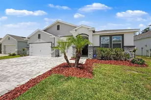 23231 Scaglione Dr, Lutz, FL 33549 - Photo 6