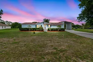 3724 Tack Dr, Wesley Chapel, FL 33543 - Photo 1