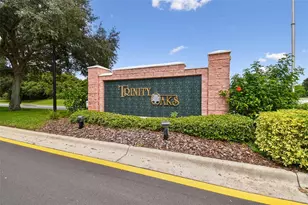 1021 Arlinbrook Dr, Trinity, FL 34655 - Photo 48