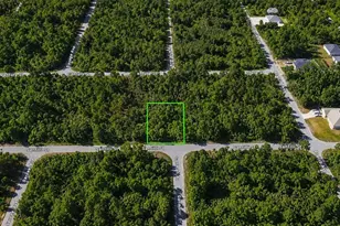 3295 Santilli, Port Charlotte, FL 33948 - Photo 1