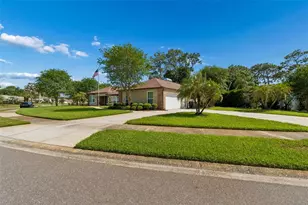 2245 Toniwood Ln, Palm Harbor, FL 34685 - Photo 72