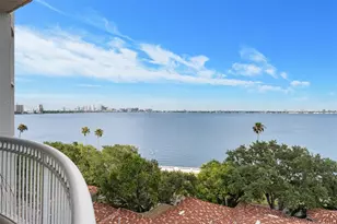 3507 Bayshore Blvd, Tampa, FL 33629 - Photo 6