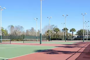 30114 Emmetts Ct, Wesley Chapel, FL 33543 - Photo 28