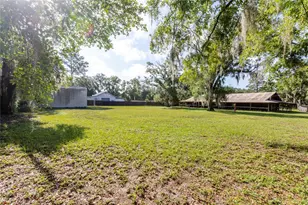 13203 Blissfield, Odessa, FL 33556 - Photo 32