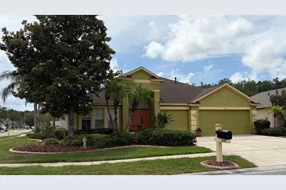 19640 Bergenfeld Drive, Land O Lakes, FL 34638 - Photo 1