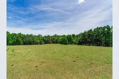 Spring Lake Highway, Brooksville, FL 34602 - Photo 6