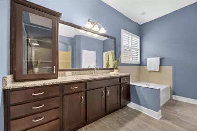 6411 Blue Sail Lane, Apollo Beach, FL 33572 - Photo 48