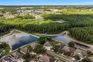 19238 Weymouth Dr, Land O Lakes, FL 34638 - Photo 28