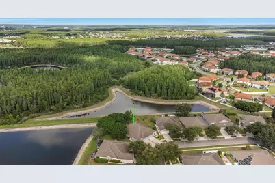 19238 Weymouth Drive, Land O Lakes, FL 34638 - Photo 46