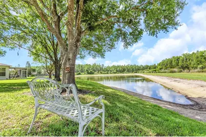 19238 Weymouth Drive, Land O Lakes, FL 34638 - Photo 42