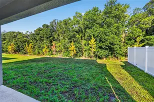 12621 Maple Bonsai Dr, Riverview, FL 33579 - Photo 32