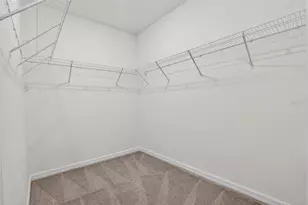 12621 Maple Bonsai Dr, Riverview, FL 33579 - Photo 20