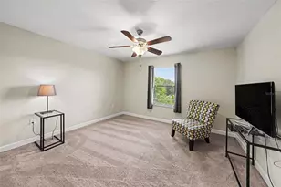 28504 Tranquil Lake Cir, Wesley Chapel, FL 33543 - Photo 16
