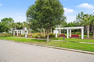28504 Tranquil Lake Cir, Wesley Chapel, FL 33543 - Photo 22