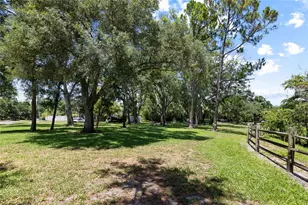 466 36th Ave N, Saint Petersburg, FL 33704 - Photo 52
