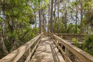 4226 Preserve Pl, Palm Harbor, FL 34685 - Photo 48