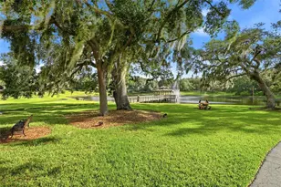 3493 Shoreline Cir, Palm Harbor, FL 34684 - Photo 64
