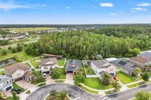 19476 Paddock View Dr, Tampa, FL 33647 - Photo 52