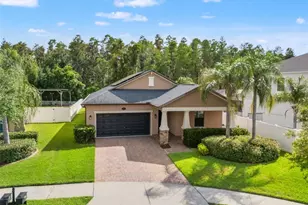 19476 Paddock View Dr, Tampa, FL 33647 - Photo 1